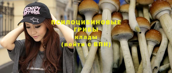 шишки Аркадак